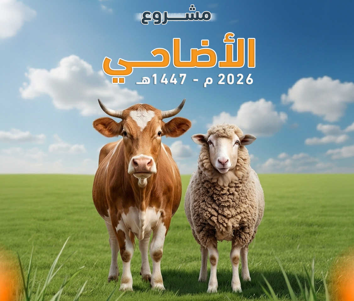 صور
